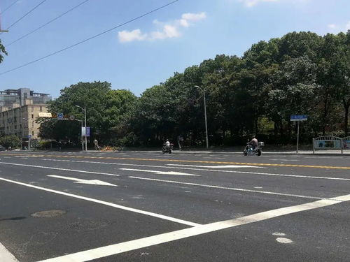為民辦實(shí)事 寶山區(qū)7條道路變身精品示范路